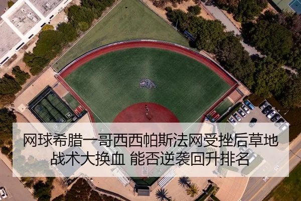 wang-qiu-xi-la-yi-ge-xi-xi-pa-si-fa-wang-shou-cuo-hou-cao-di-zhan-shu-da-huan-xie-neng-fou-ni-xi-hui-sheng-pai-ming-2-412.jpg
