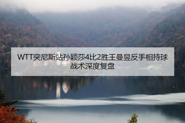 WTT突尼斯站孙颖莎4比2胜王曼昱反手相持球战术深度复盘